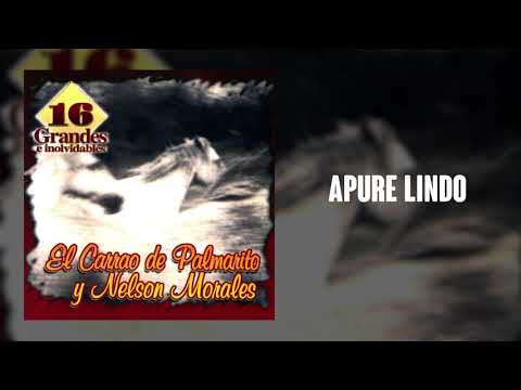 Apure Lindo - El Carrao De Palmarito  | Música Llanera