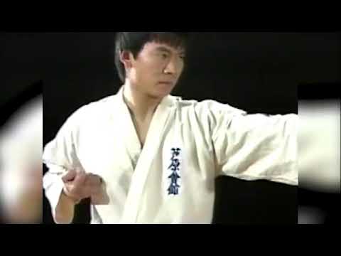 Ashihara Karate Basics
