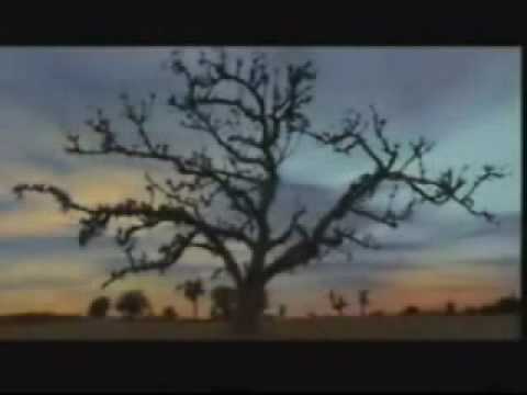 SADAEN AKELA SAFAR MAIN RAHIA SEEN SUNG BY WAHID LASHARI