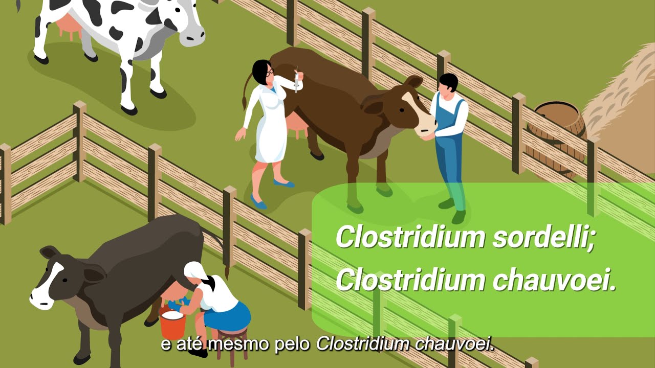 Minuto Previna- Conhecendo as Doenças Clostridiais: Gangrena Gasosa