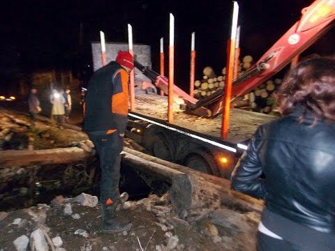 Pod rupt de un camion cu bușteni, pe DJ 174E