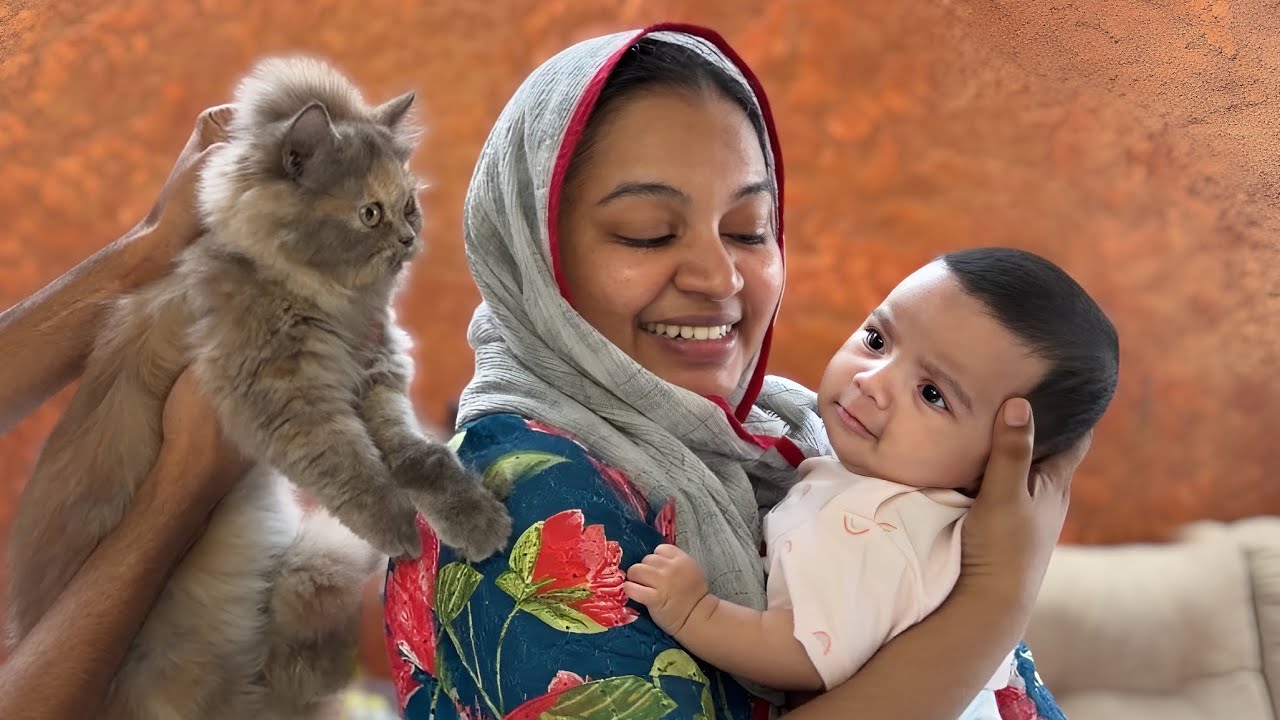 NIKKI cat BABY கிட்ட JUST MISS..🙄😂