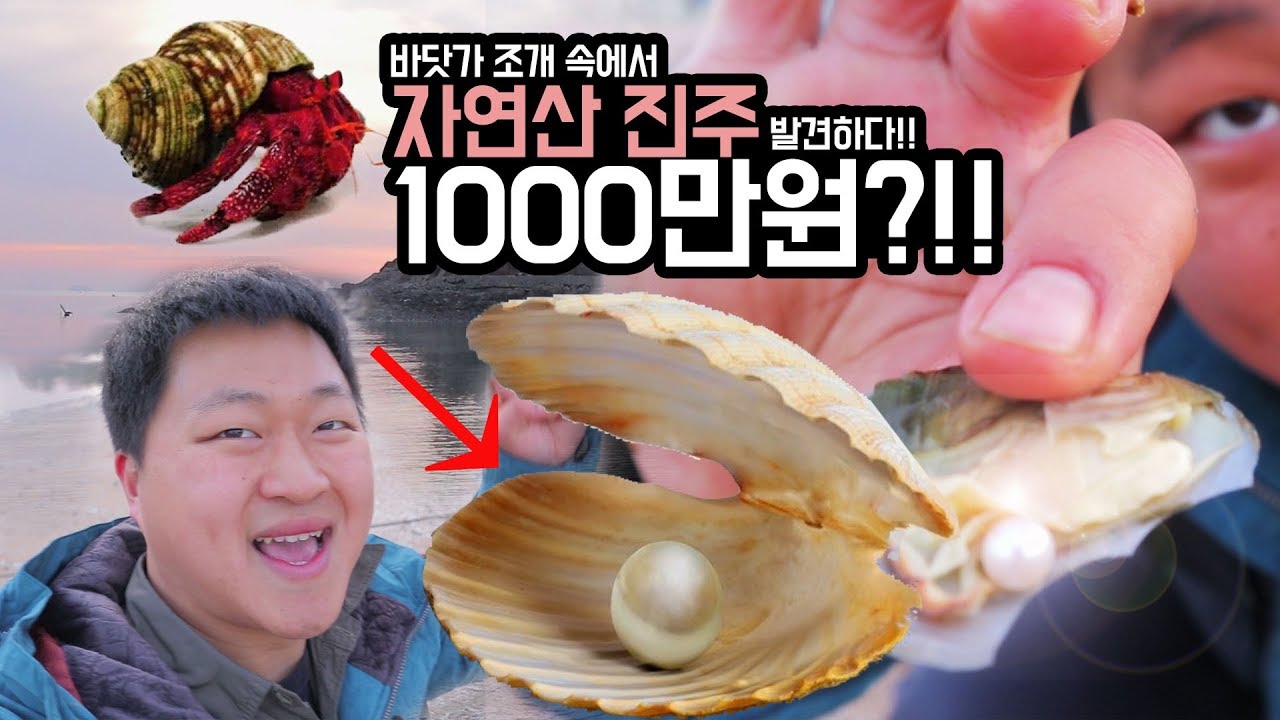 [도깨비] 바닷가 조개 속에서 진주 발견하다!! 1000만원~!??ㅎㄷㄷ
