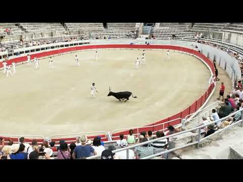 Camargue-style Bull Racing in Arles Arena, July 2023