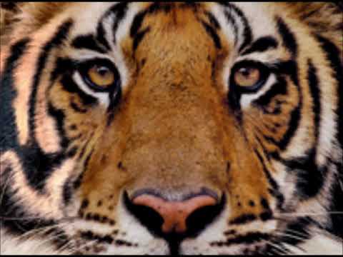 BIG CEL - BEAT 382 (91 BPM)