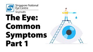 Common Eye Symptoms (Part 1): Blurred Vision, Cloudy Vision, Halos and Glare