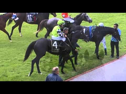 Belmont Park, 07/05/2016 - Race 2 - SHINTA MANI - Sharon Miller & Jason Whiting