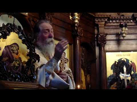 Părintele Iustin Neagu, Minunea înmulţirii ceIor 5 pâini, 22.07.2018