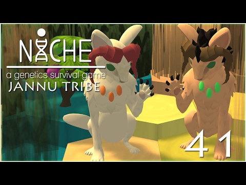 An Unexpected Love Story • Niche: Jannu Tribe - Episode #41