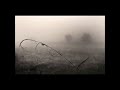 Creeper Lagoon -  Dear Deadly
