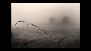 Creeper Lagoon -  Dear Deadly