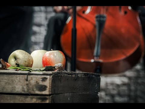 Le quattro stagioni - Ensemble d'archi Prometeo