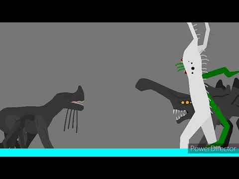 Day 17 And Breaking news vs Day 18 and bird watcher