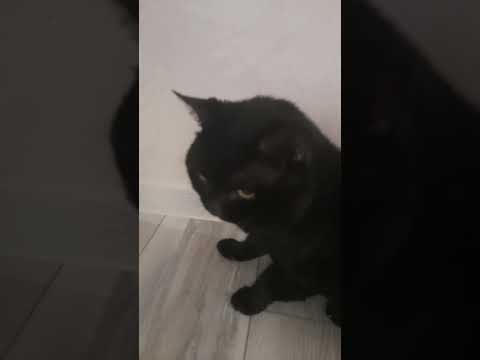 26 октября 2023 г.