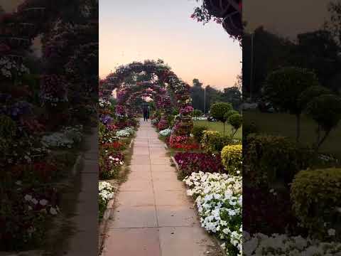 flowering nature|फूल का बगीचा