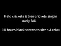 Field crickets & tree crickets sing early fall cricket sounds 10 hours black screen to sleep & relax