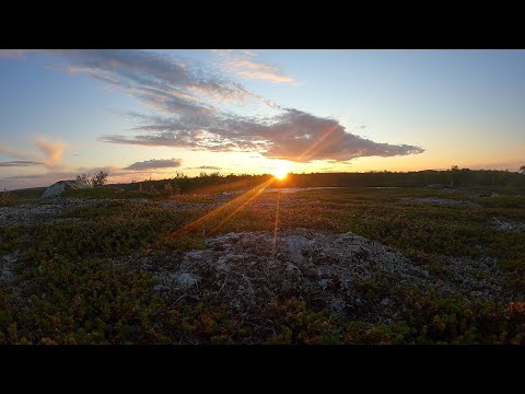 Teaser: Pekkojen Pojat Kaldoaivissa - Kaukana Koronasta.