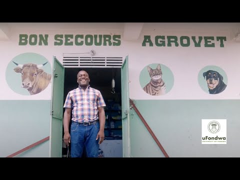 Scholarships for Haitian University Students