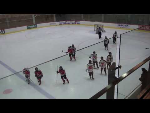 Vipers 04/05 - HC Panter 04/05 (5-2) 22.02.2016