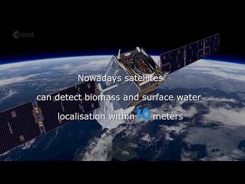 We want the GARBAL service to stay