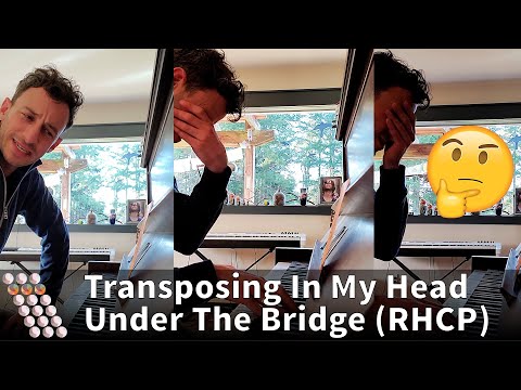 I should've used a pen and paper