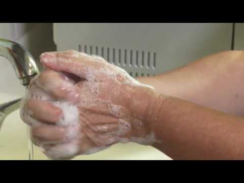 HCA Hospice [Medi Minder Training Series] Hand Washing