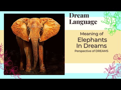Meaning of Elephants In Dreams | Biblical & Spiritual Interpretation