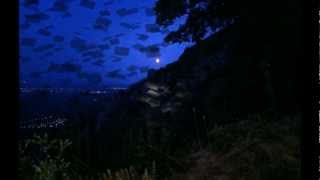 Tonight - Ren Harvieu