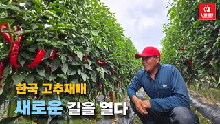 한국 고추재배의 새로운 길을 열다 2025.8.12