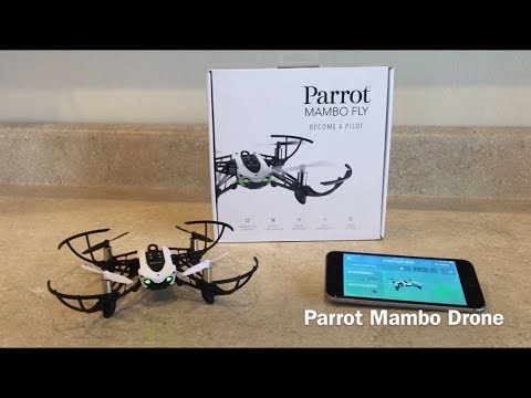 image-Is parrot still making drones?