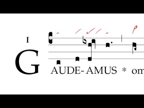 Introitus: Gaudeamus... Mariae... solemnitate...