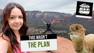 We Slept at an Alpaca Farm… Then This Happened | Van Life Vlog