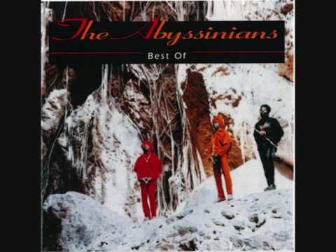 Abyssinians - Crashie Sweeps