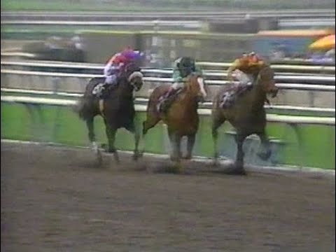 1991 San Rafael Stakes