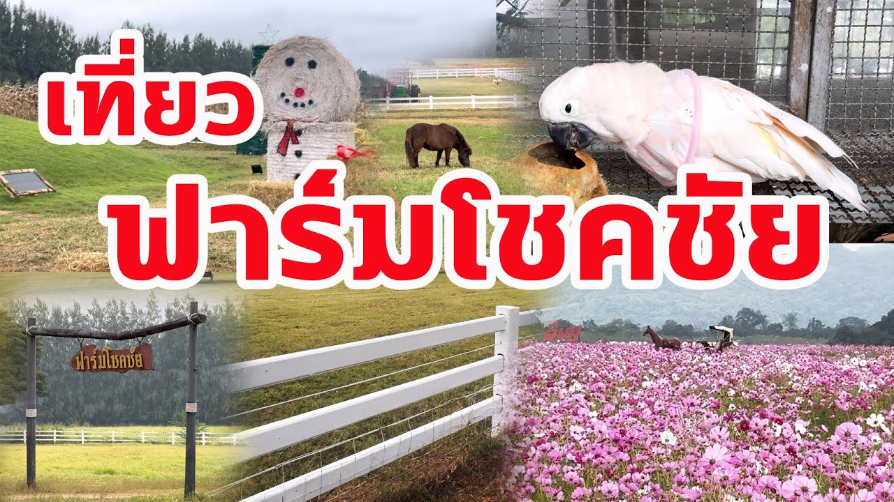 ฟาร์มโชคชัย