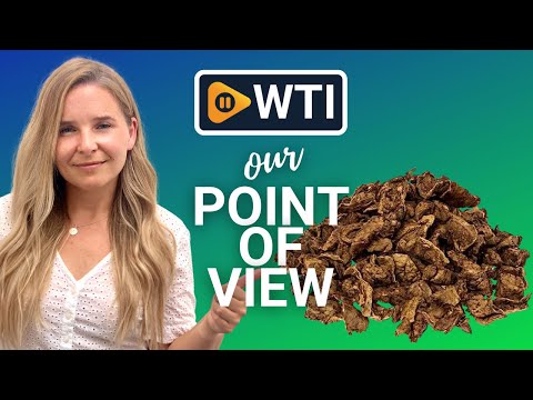 TickledPet Beef Lung Dog Treats - WTI product video review