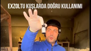 Exzolt Propektüs Analizi ve Uygulama Rehberi 