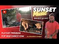 Sunset Party Playlist Premium Rihanna Taylor Swift Tiesto Nelly Moony Sonny Fondera Adele