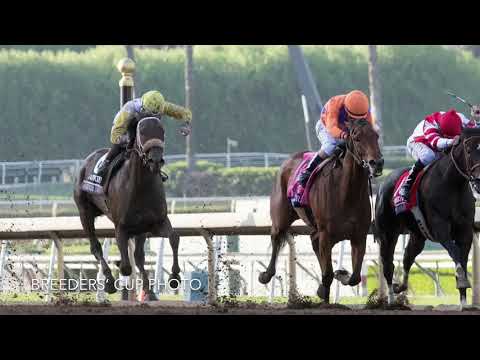 Dallas Stewart on Forever Unbridled