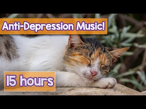 NEW Soothing Music for Depressed Cats and Kittens! Music to Calm Cat Separation Anxiety & Depression