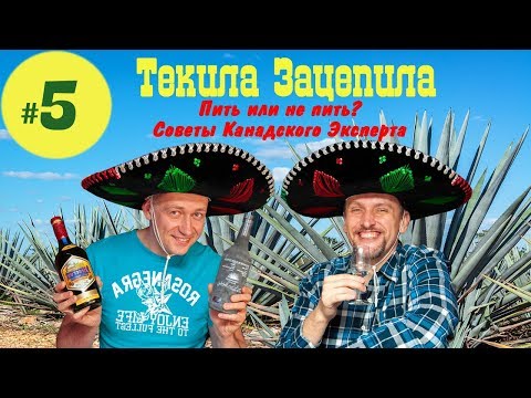 Текила зацепила