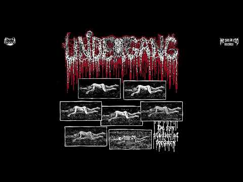 UNDERGANG - De syv stadier af ford​æ​rv, 2023