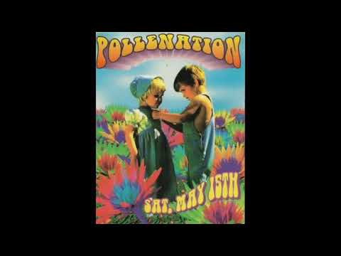 ROZ B LIQUID LIVE @ POLLENATION 1993 DROP BASS NETWORK