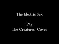 The Electric Sex- Pity (The Creatures) Cover