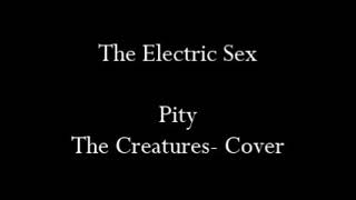 The Electric Sex- Pity (The Creatures) Cover