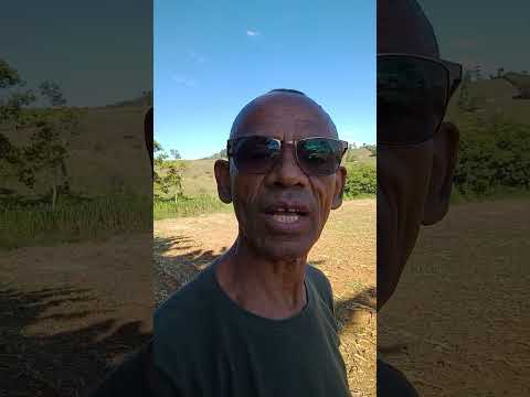 Interior de Minas, município de Senhora dos Remédios.