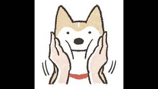 apex　のんびり
