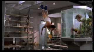 Deuce Bigalow Male Gigolo Fish Tank Crash