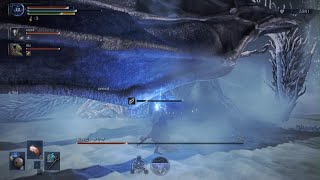 『霧の裂け目』エルデンリングナイトレイン【隠者】 #55