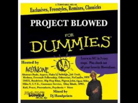 DJ HANDPRINTS - Project Blowed For Dummies - Hosted By Aceyalone